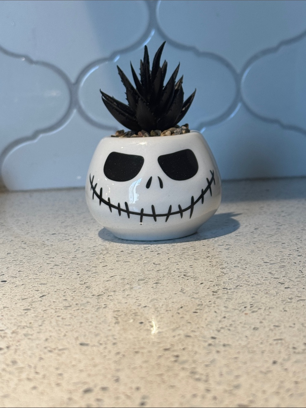 Ceramic Skull Planter with Black Faux Succulent